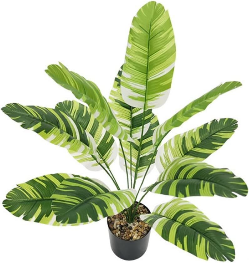 Artificial Calathea Plant, Green Leaves, Artificial Plant Simulation Pot Bonsai Flower Household Potted Decor Office Plants Ornaments Crafts Party Home Decor Table (White Green(No Flowerpot), 65cm)