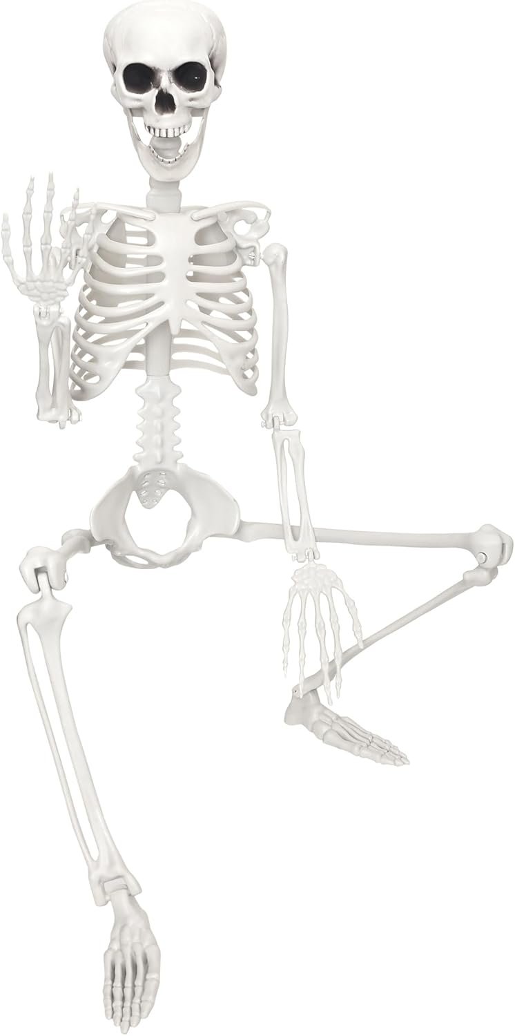 Skeleton Halloween Decor,3Ft Life Size Skeleton Full Body Plastic Human Bones for Halloween Decoration