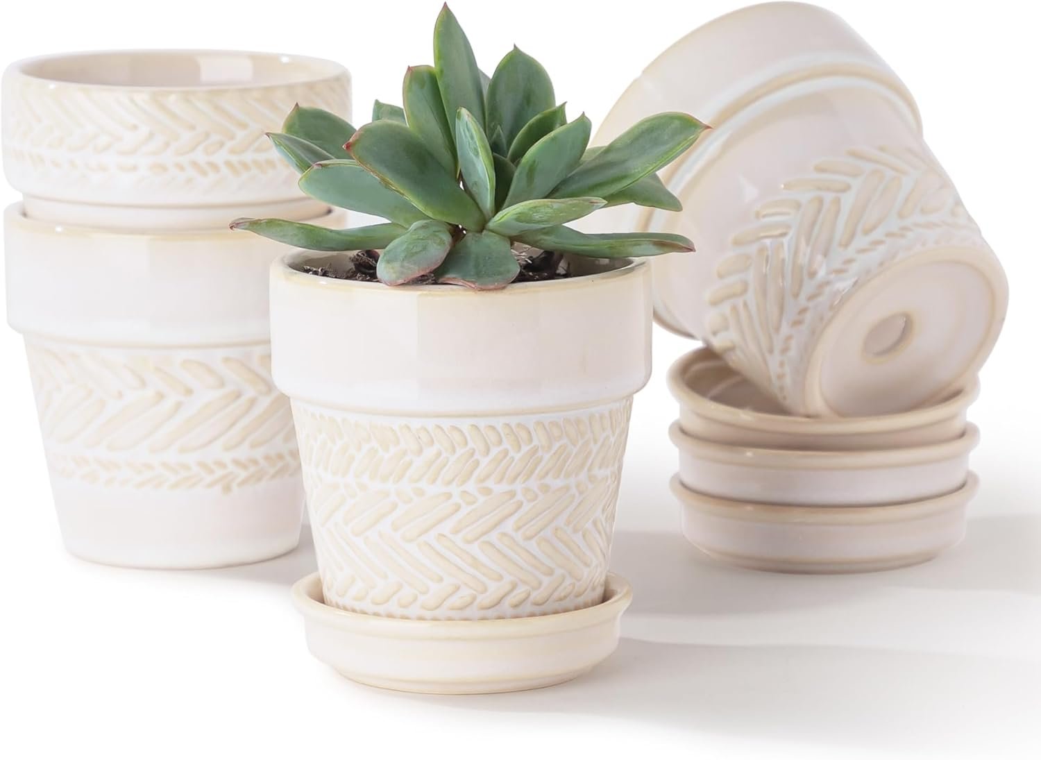 Fayoula Succulent pots,Indoor Small Succulent Bonsai,3 Inch Mini Ceramic Succulent Pots with Saucer and Drainage Hole, Decorative Planter for Succulent, Cactus, Set of 4.