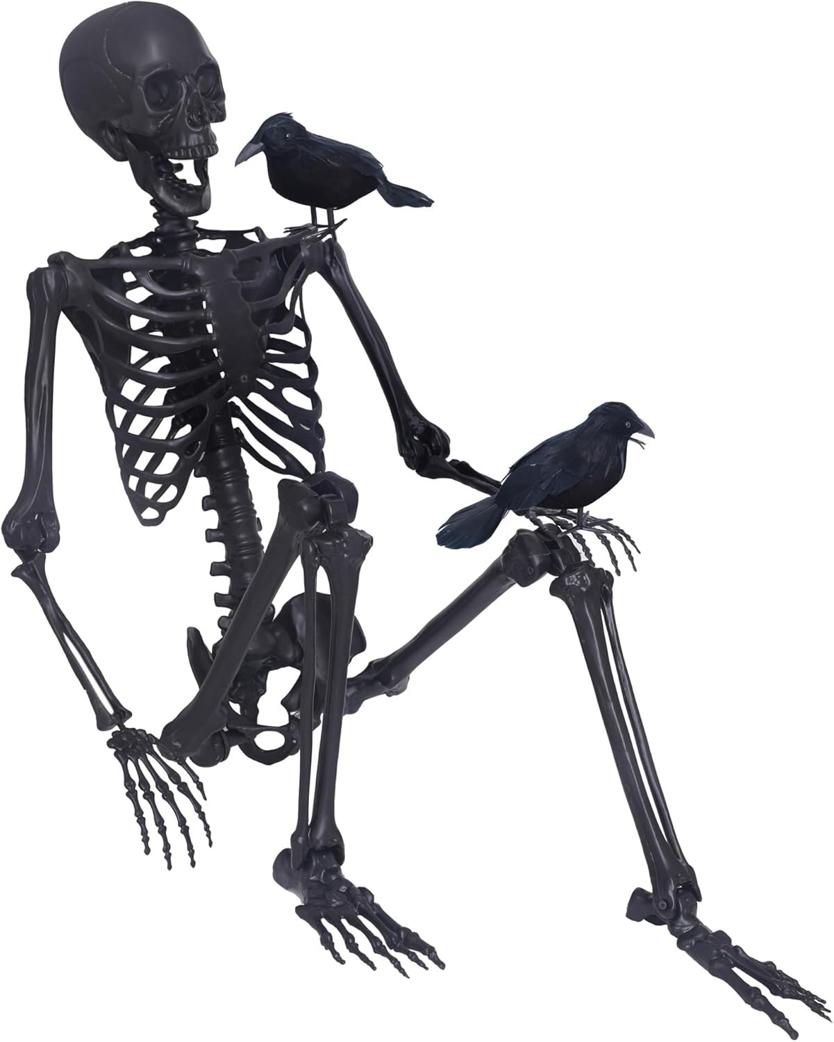 5.4Ft Halloween Skeleton,Posable Skeleton Full Size Skeleton with Movable Joints and 2PC Black Feathered Crows for Halloween Decorations Outside and Inside