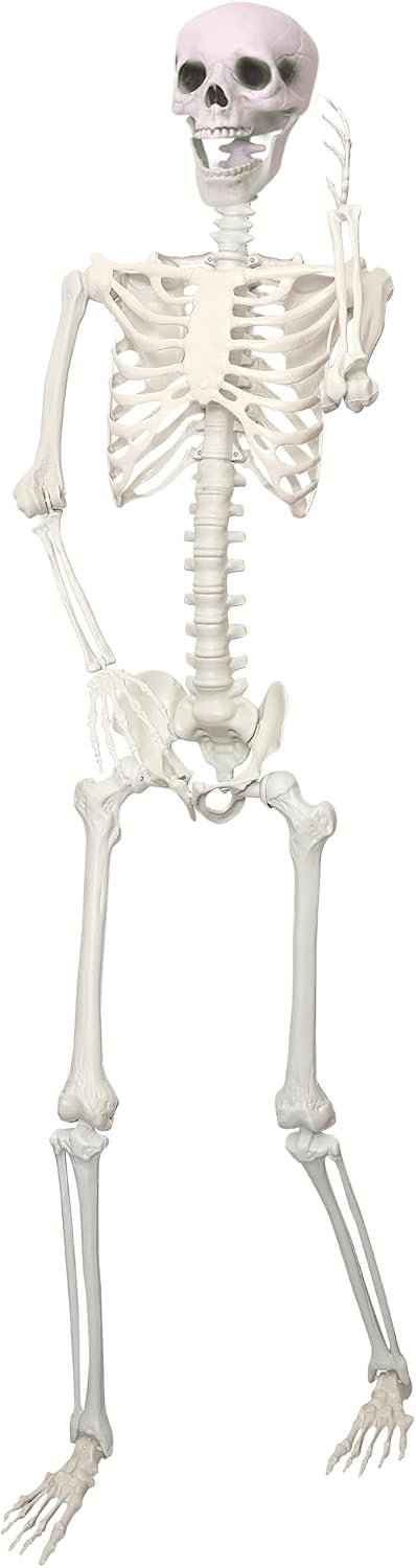 5.9Ft/180cm Giant Skeleton Poseable Skeleton Realistic Full Body Bones for Halloween Decorations