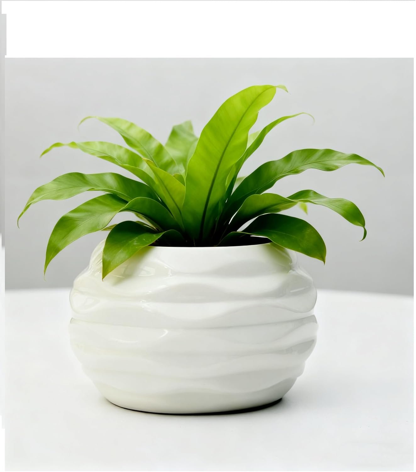 3.55″x2.6″ Medium Ceramic Pot Succulent Planter Mini Cute Garden Flower Plant Nursery Succulent for Indoor Plants Ceramic Pots Ripple 5