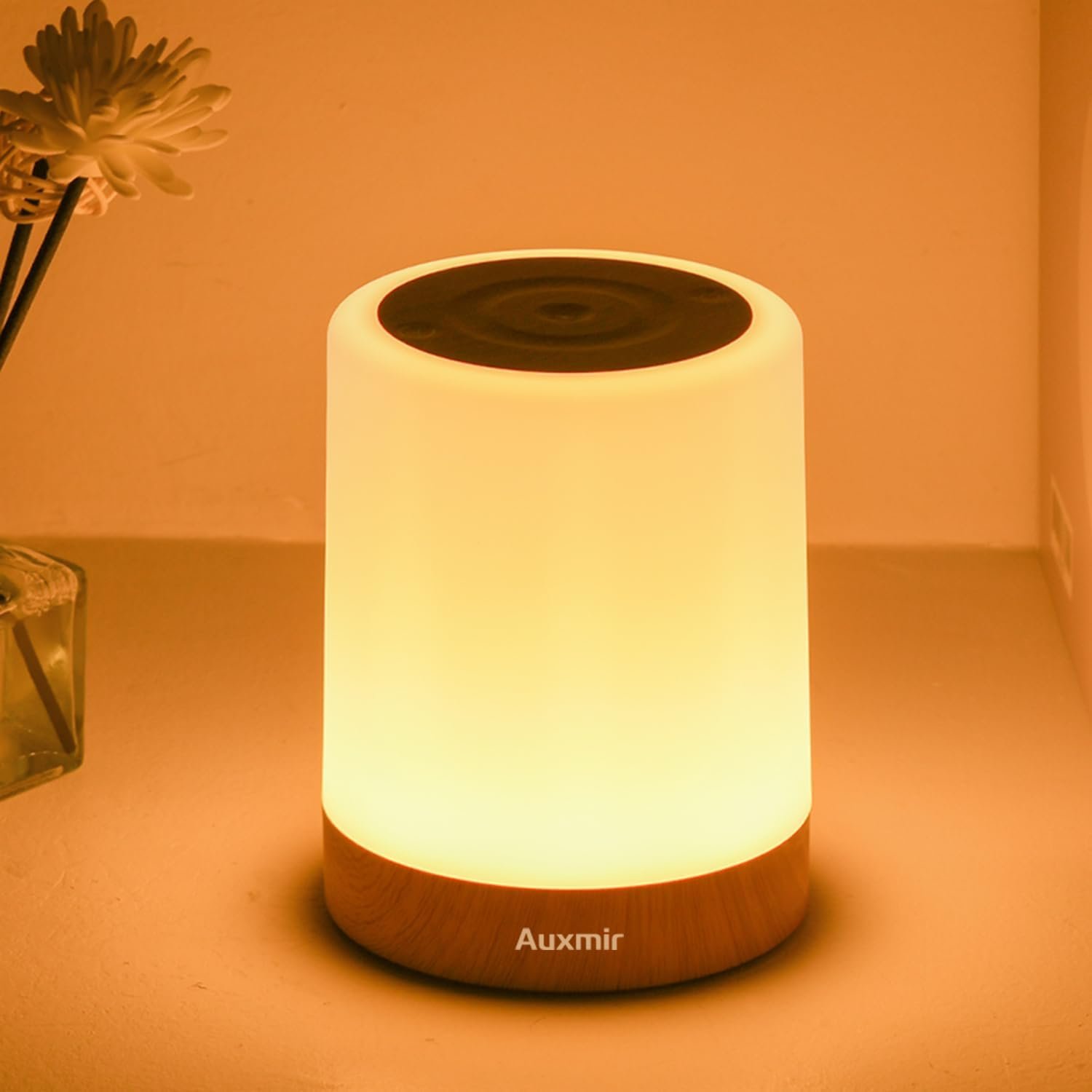 Auxmir Nursery Night Light for Baby, Rechargeable Touch Lamp for Breastfeeding & Diaper Changes, 256 RGB Colors 5 Brightness Levels, 1/2/3H Timer, Portable Bedside Night Light for Kids Bedroom, Brown