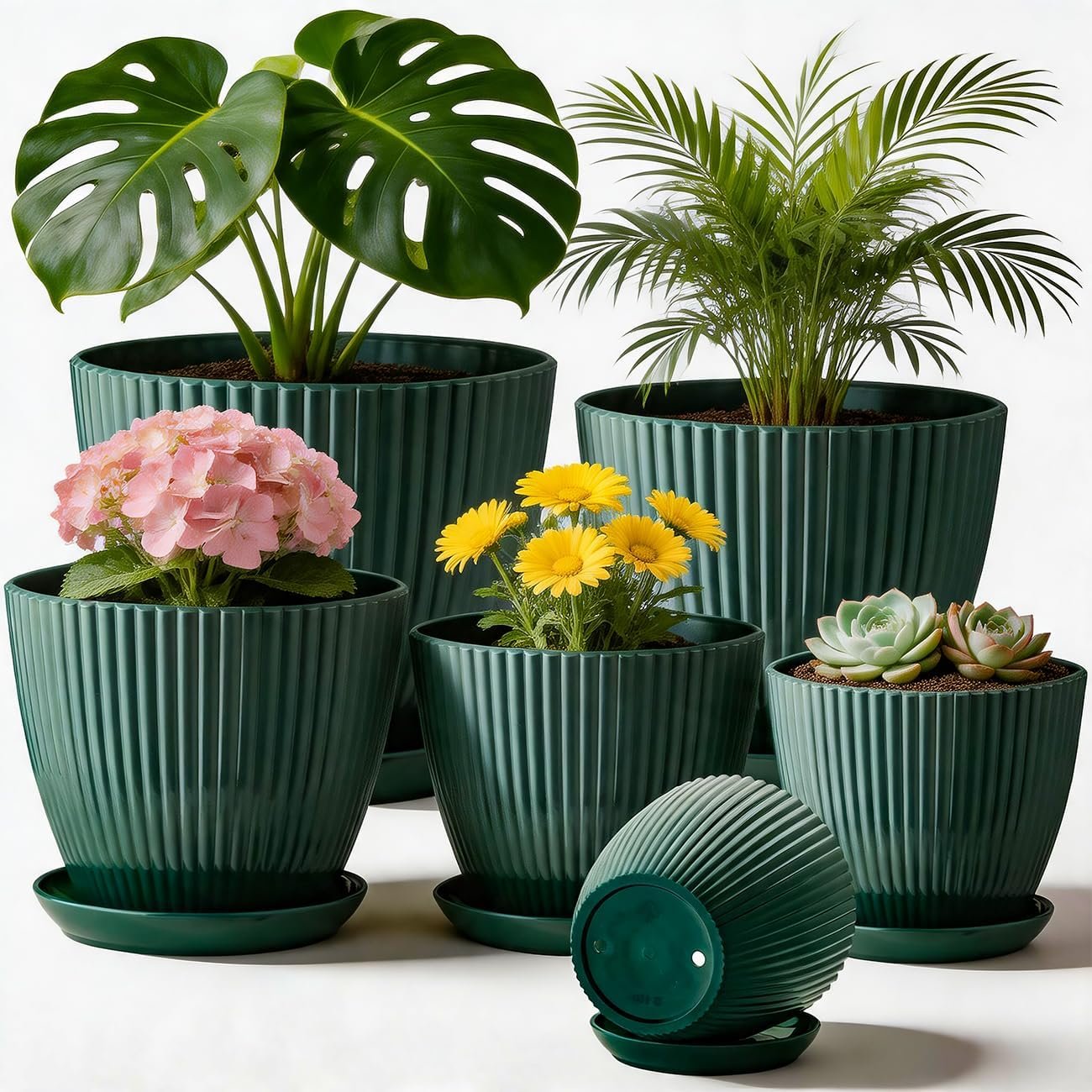 RooTrimmer Indoor Plant Pots with Drainage Holes and Saucer, 6 Pack Plastic Flower Pots(7.5/6.5/5.5/4.9/4.2/3.5Inches – Perfect for Small Indoor Plants and Home Decor, Dark Green