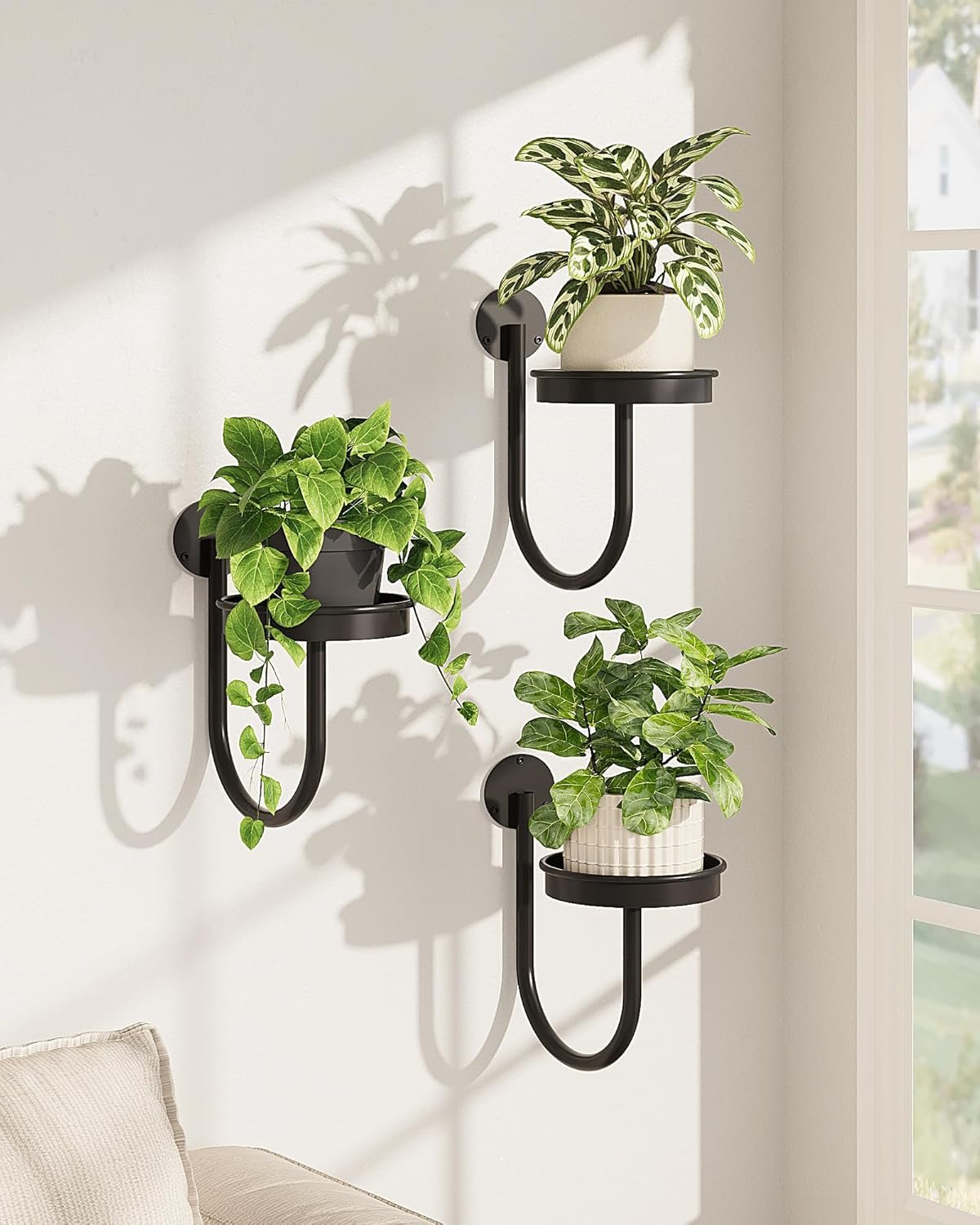 Bamworld Hanging Planters for Indoor Plants Wall Plant Holder Plant Hanger Indoor Wall Planters Window Plant Shelves Hanging Plant Holder Window Plant Hanger Plant Decor Black 3pcs