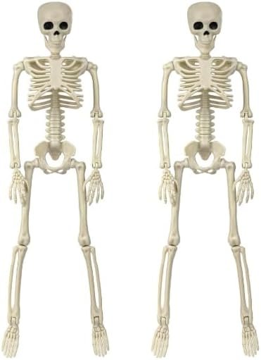 2 Pack 36″ Halloween Skeleton Decoration, 3FT Full Body Skeleton with Movable Posable Joints for Halloween Decor Outdoor Haunted House Party