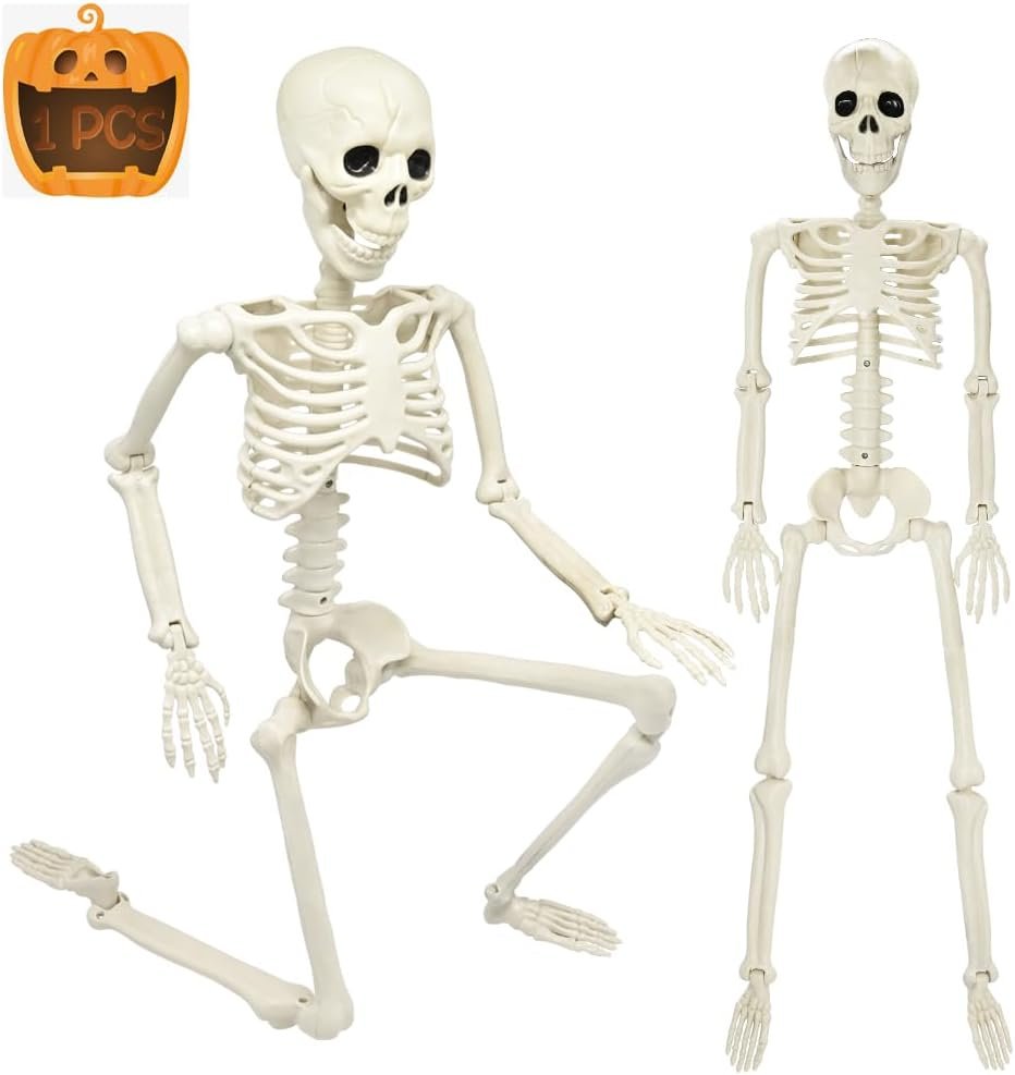 CAMIRUS 3FT Skeleton, 36″ Full Body Skeleton with Movable Posable Joints, Realistic Plastic Bones Halloween Prop for Outdoor Haunted House Decorations | 36” Halloween Skeleton Full Body with Posable Joints, Perfect for Spooky Yard Patio Lawn Indoor Decor and Party Photo Props