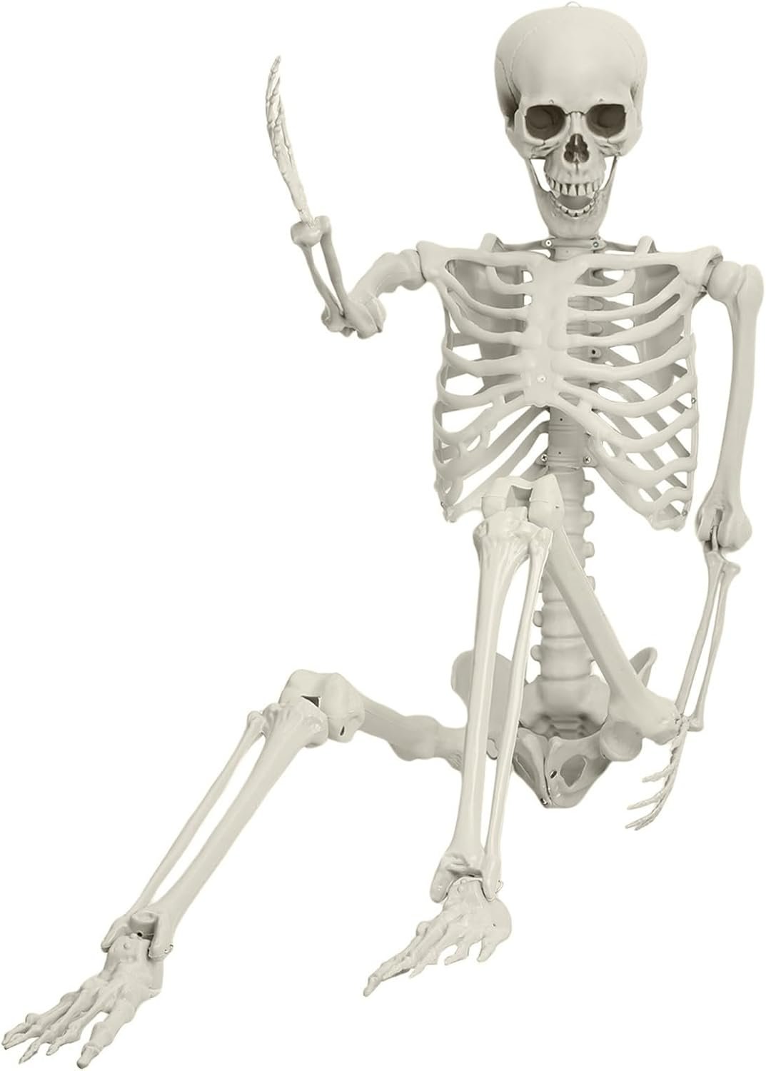 5.4ft Halloween Life Size Skeleton, Posable Halloween Skeleton Life Size Decor, Full Size Skeletons, Outdoor SkeletonHalloween Decorations (White)