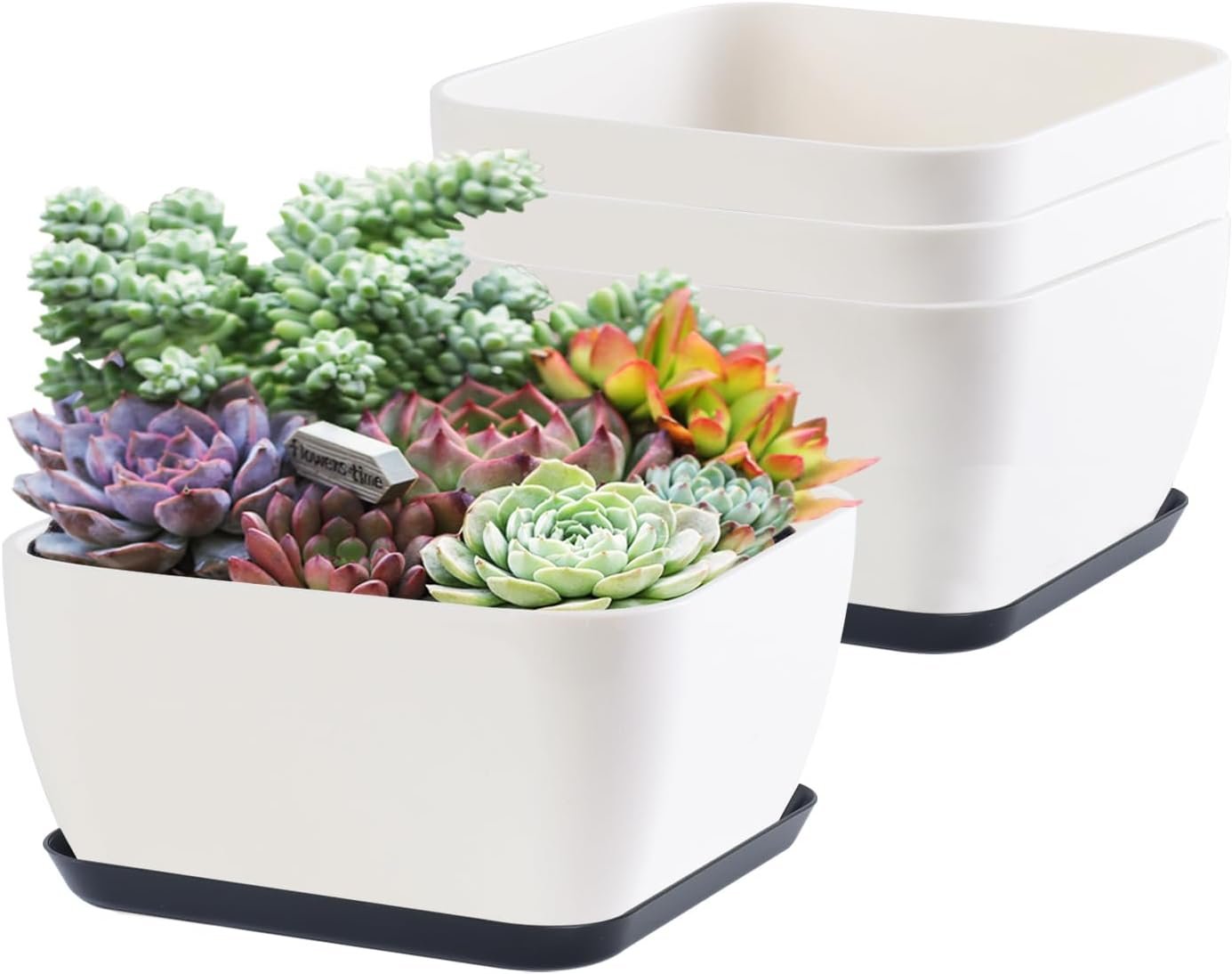 Oliz Succulent Pots 6 Inch Shallow Herb Planters with Drainage Hole – 4 Packs Cactus Planter for Home Office Garden Plants Pot Present – Plants Not Included (Off White)