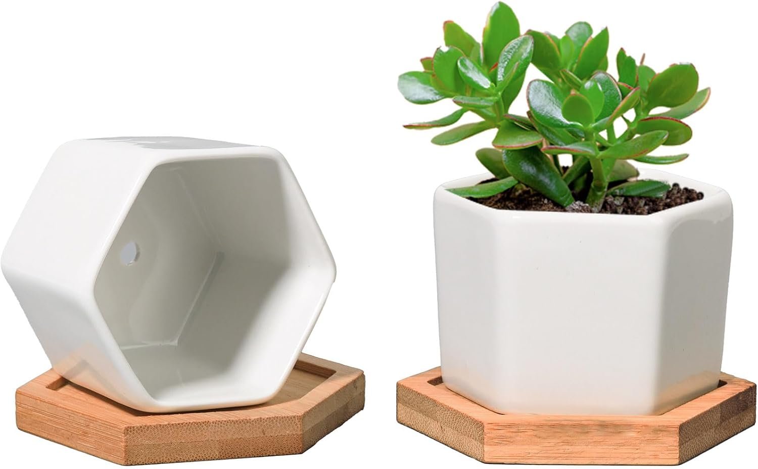 T4U Small White Succulent Planter Pots with Bamboo Tray Hexagon Set of 2, Geometric Ceramic Cactus Plant Holder, Succulent Plant Gifts for Gardener Women Coworker, Home Office Table Desk Decoration | Live cactus bonsai starter, Indoor windowsill decor, Office desk top accents, Bamboo tray included