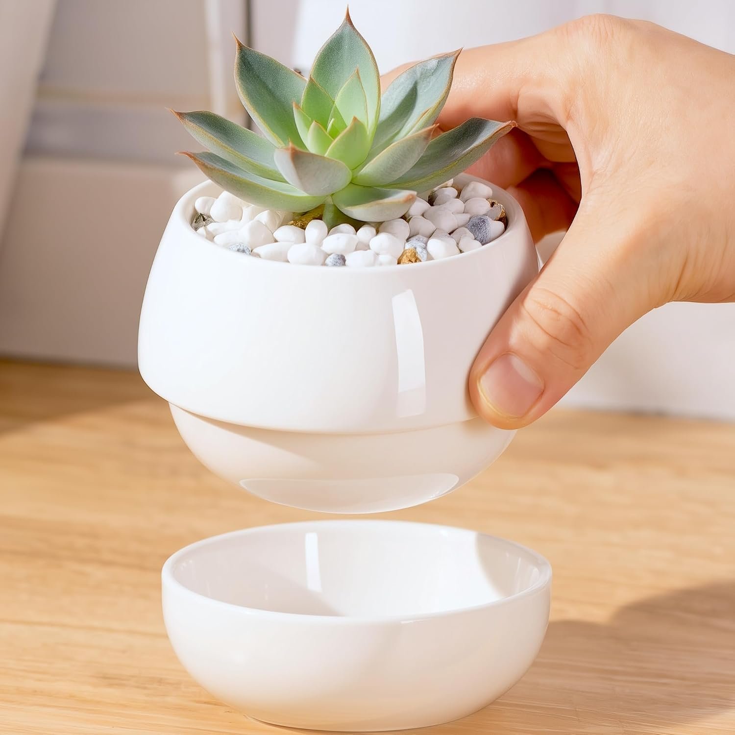 Willowy Small Succulent Pot (1 Pack) – Succulent Pots with Drainage Tray – Ceramic Plant Pots, Cactus/Succulent Planters, Small Flower Pot – No Succulents/Plants Included