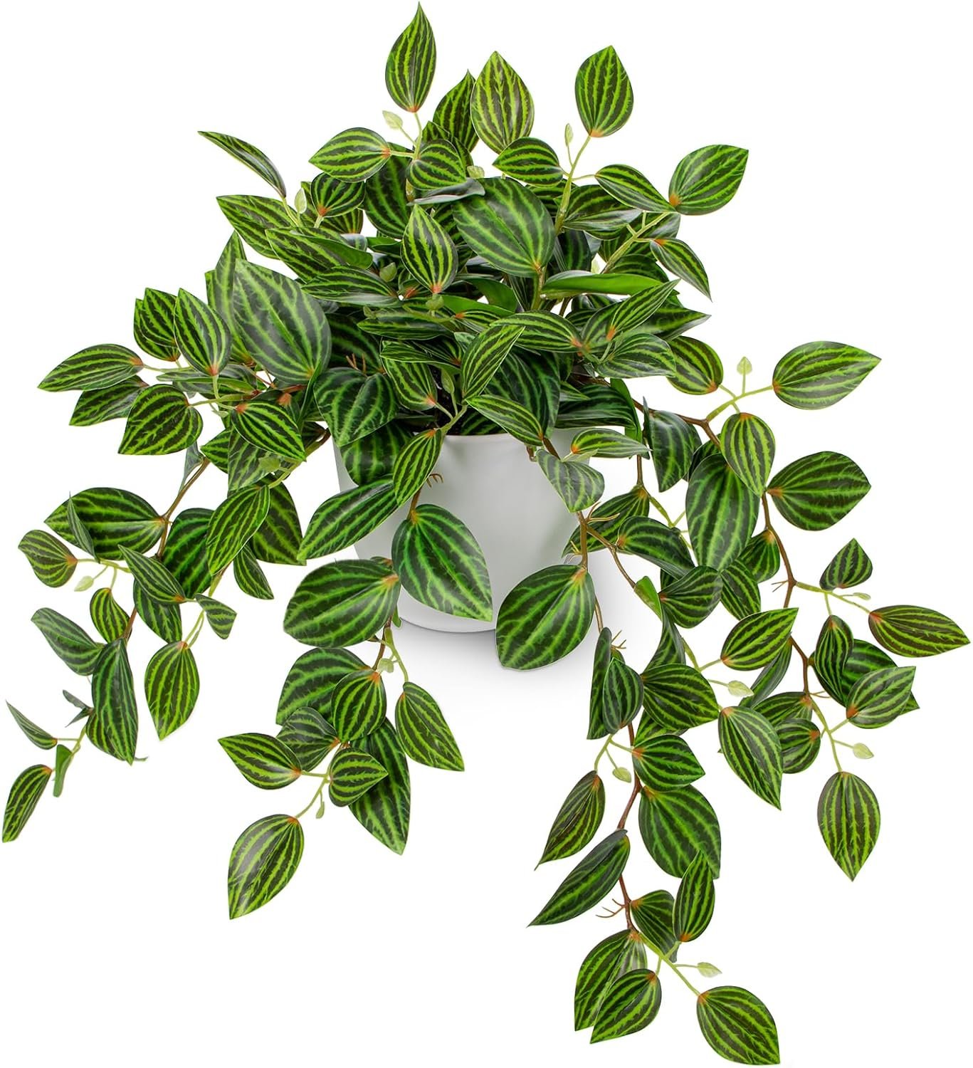 Briful Artificial Potted Plant Indoor, 17.7″ Faux Watermelon Peperomia Trailing Plant in White Plastic Pot Realistic Fake Cascading Greenery for Shelf Bathroom Office Desk Tabletop Home Decor