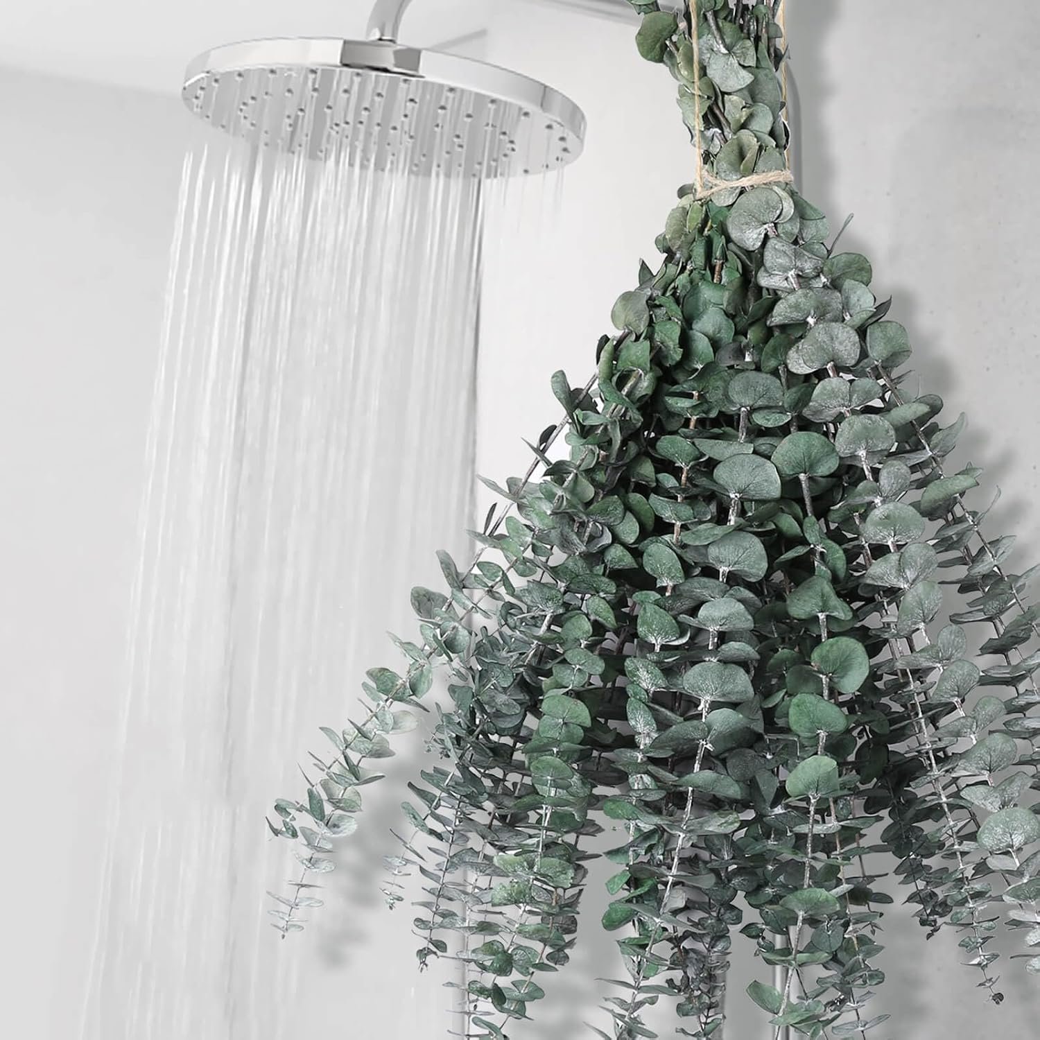 12 PCS Dried Eucalyptus Stems for Shower – 17″ Preserved Eucalyptus Stems Shower Plant, Fresh Real Eucalyptus Leaves for Shower Hanging, Home Decor, Dried Flowers | Real preserved eucalyptus with fresh green leaves, ideal for shower hanging, spa gifts, bathroom and natural home deco.