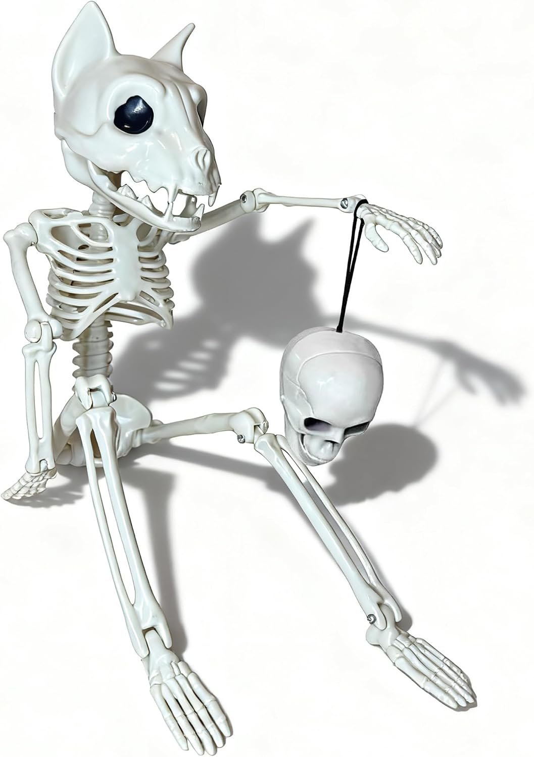 16 Inch Cute Horror Party Decorations Indoor Outdoor Haunted House Props Poseable Hybrid Small Skeletons Decor: Funny Skull for White Elephant Gifts
