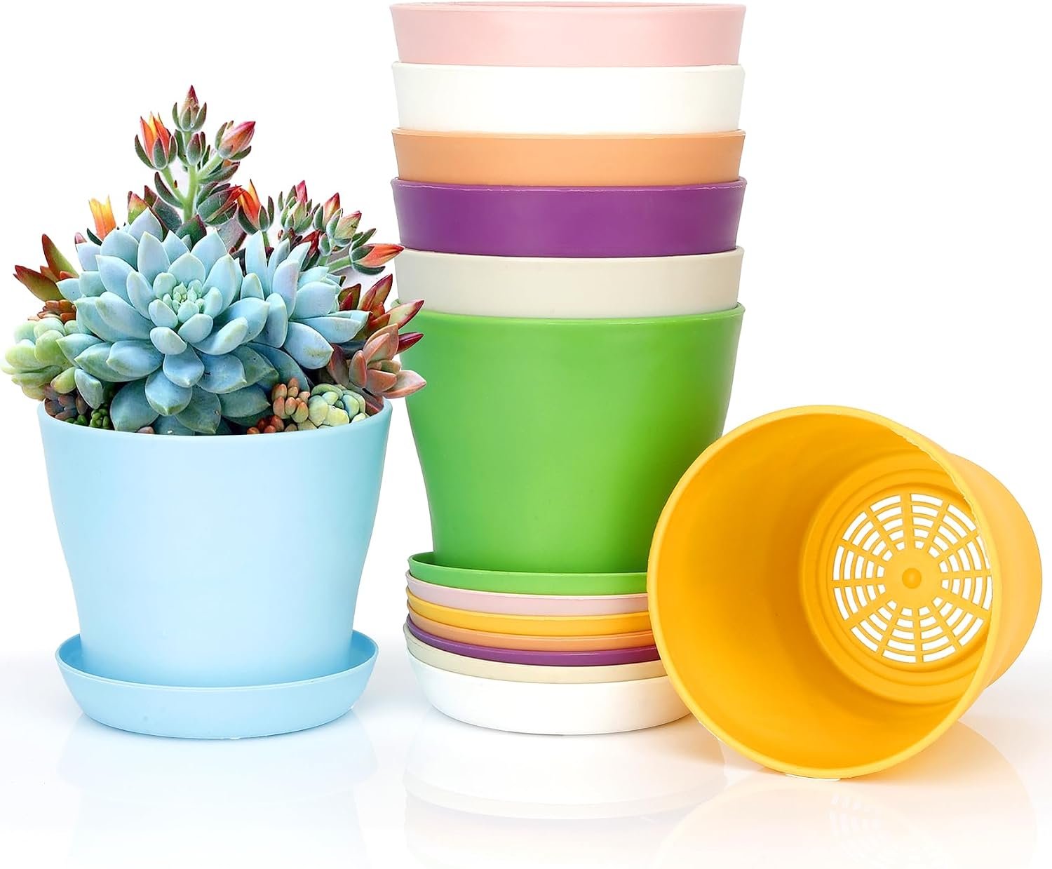 8 Pcs Plant Pots,3.8″ Flower Pots,Gardening Gifts,Plastic Pot for Plants,Nursery Succulent Pot Planters for Indoor Plants,Small Flower Pots,Cute Plant Pots