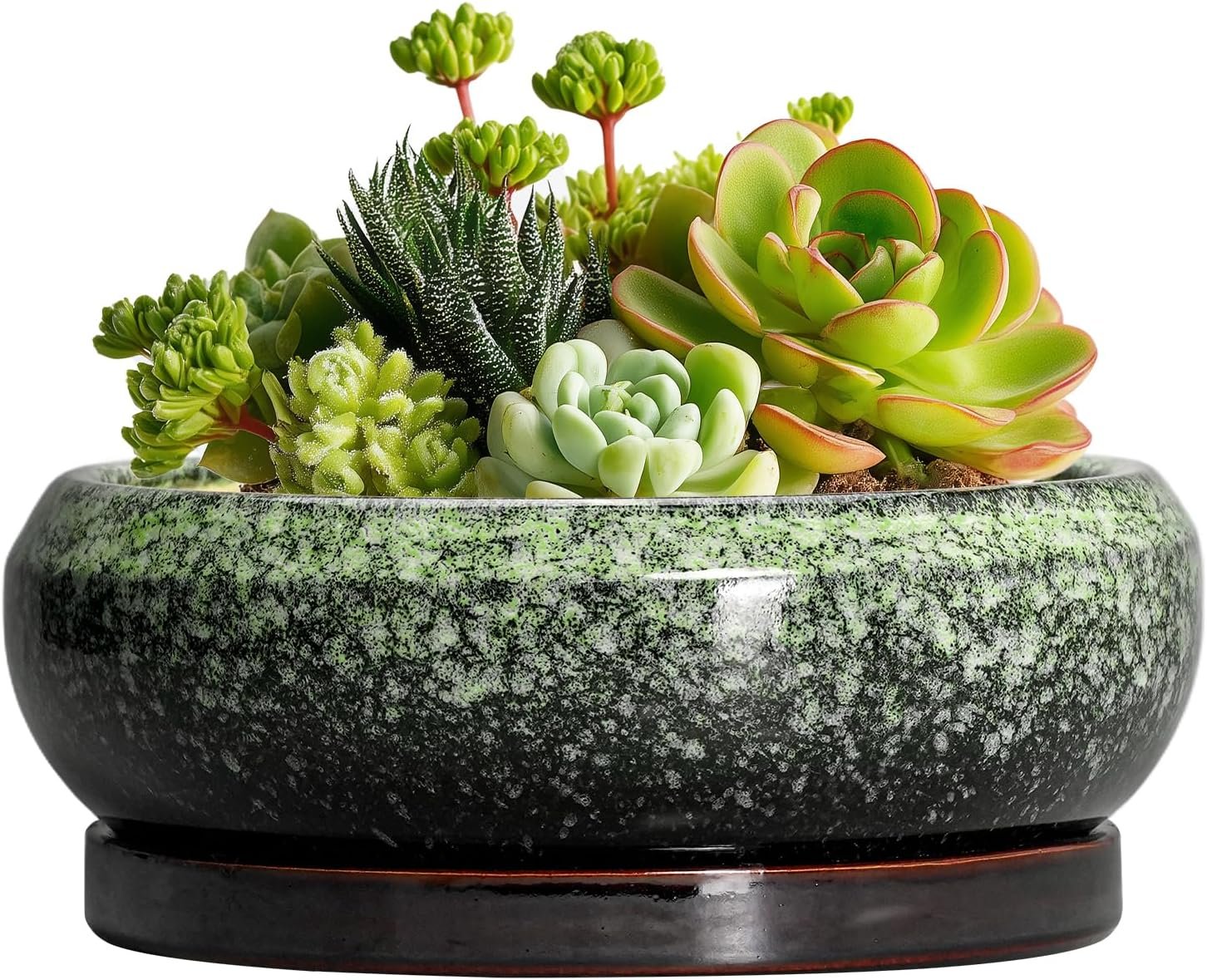 Succulent Pots 6 Inch – Ceramic Bonsai Pots with Drainage Hole and Saucer, Succulent Planters for Indoor Outdoor, Small Shallow Planter, Round Cactus Pot, Room Decor, Plant Lover Gift, Green