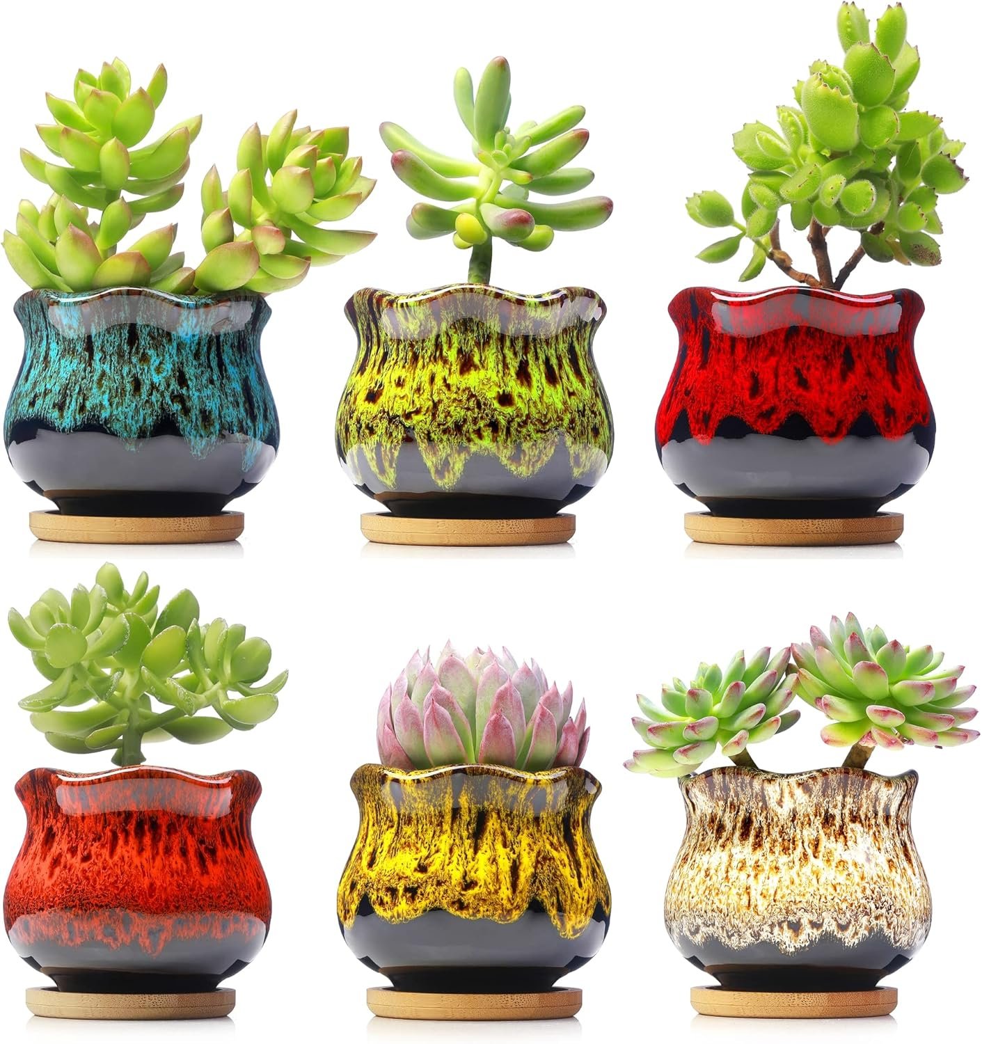 Cute Ceramic Succulent Planters, Garden Pots with Drainage and Attached Saucer, Set of 6 – Plants Not Included