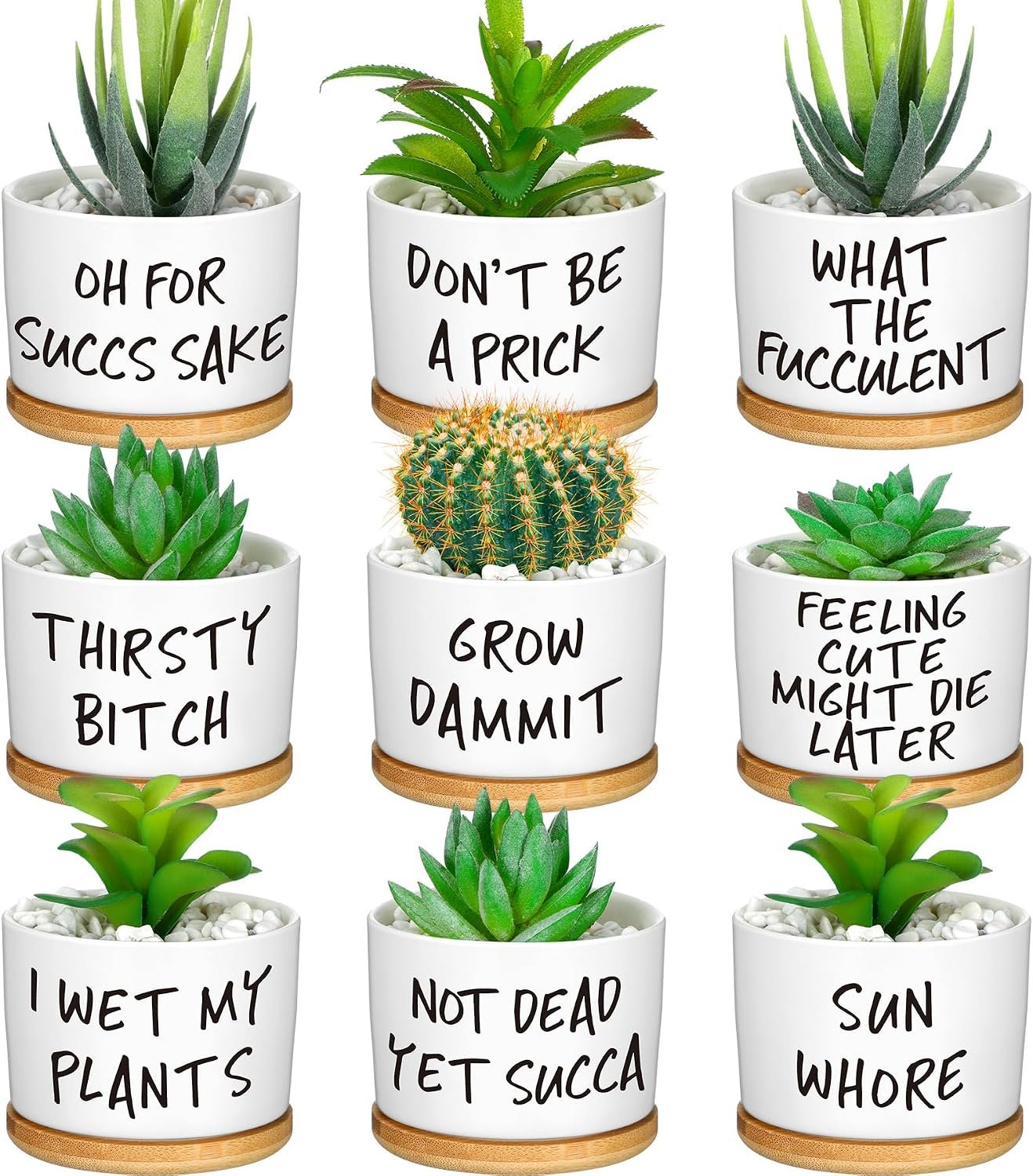 Domensi 9 Pcs Funny Succulent Pots Cute Aloe Cactus Planter with Bamboo Tray Ceramic Accessories White Mini Flower Drainage Tray Pots Indoor Outdoor Plants Birthday Gifts Housewarming Women Coworker